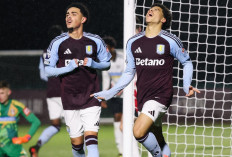 Susunan Pemain Crystal Palace vs Aston Villa di Liga Inggris 2024/25