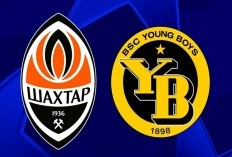 Prediksi Skor Shakhtar vs Young Boys di Liga Champions 2024/25: The Hirnyky Siap Bangkit!