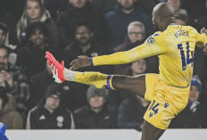 Hasil Leicester vs Crystal Palace di Liga Inggris 2024/25 - The Eagles Perkasa