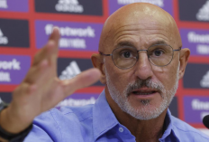 Luis de la Fuente Tertarik ke Amerika Serikat, Bakal Tinggalkan Spanyol Usai Euro 2024?