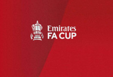 Tempat Menonton Sheff Utd vs Cardiff di Piala FA 2024/25