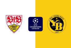 Prediksi Skor VfB vs Young Boys di Liga Champions 2024-25: Siapa yang Keluar dari Zona Papan Bawah?