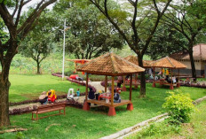 6 Tempat Wisata di Sentul untuk Anak yang lagi Hits & Instagramable 2025