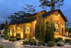15 Tempat Wisata di Malang yang Lagi Hits & Instagramable 2025