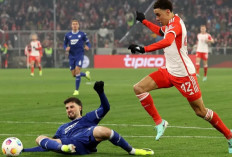 Head to Head Bayern Munchen vs Hoffenheim di Liga Jerman 2024-25: Die Roten Usung Misi Balas Dendam