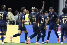 Link Live Streaming Meksiko vs Ekuador di Laga Grup B Copa America 2024 Pagi Ini