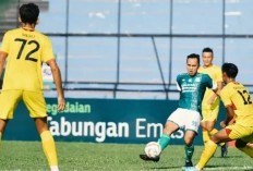 Jadwal Sriwijaya FC vs PSMS Medan di Liga 2 2024/25: Upaya Ayam Kinantan Patahkan Sayap Elang Andalas