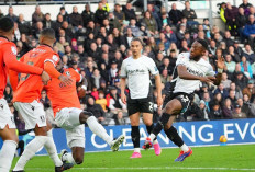 Susunan Pemain Sheff Wed vs Derby County di Liga Championship 2024-25