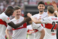 Susunan Pemain Vfb vs Young Boys di Liga Champions 2024/25