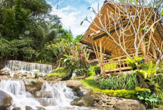 15 Tempat Makan di Bogor View Bagus Nuansa Alam Instagramable 2025