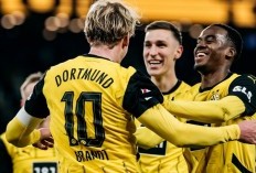 Susunan Pemain Dinamo Zagreb vs Dortmund di Liga Champions 2024/25