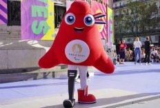 Klasemen Paralimpiade Paris 2024 Setelah Indonesia Amankan Medali di Cabang Boccia