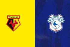 Prediksi Watford vs Cardiff di Liga Championship 2024/25