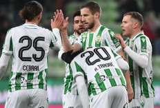 Prediksi Ferencvaros vs AZ di Liga Europa 2024/25 - Sama-sama Butuh 3 Poin, Potensi Imbang
