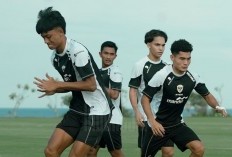 Piala AFF 2024: Shin Tae-yong Coret 4 Pemain dari TC Timnas Indonesia di Bali