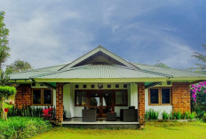 15 Villa Murah di Bogor untuk Rombongan Terbaik 2025, Fasilitas Lengkap