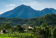 15 Penginapan Murah di Puncak untuk 2 Orang Terbaik 2025