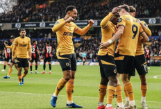 Prediksi Wolves vs Ipswich Town di Liga Inggris - Bentrok Sesama Calon Degradasi Musim Ini
