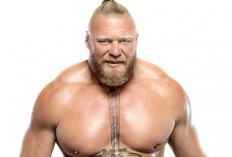 3 Mantan Pegulat WWE yang Pernah Berkecimpung di MMA, Ada Brock Lesnar