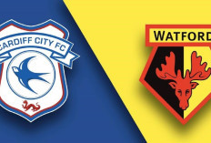 Tempat Menonton Cardiff vs Watford di Liga Championship 2024/25