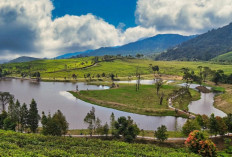 15 Tempat Wisata di Bogor yang Sejuk Hits & Instagramable 2025