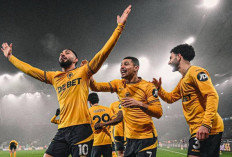 Tempat Menonton Tottenham vs Wolves di Liga Inggris 2024/25