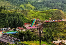 15 Tempat Wisata di Tegal yang Lagi Hits & Instagramable 2025
