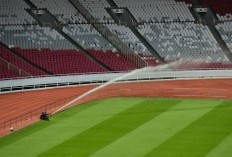 Rumput Stadion Terbaik di Dunia