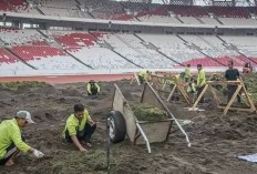 6 Rumput Stadion Terburuk di Dunia