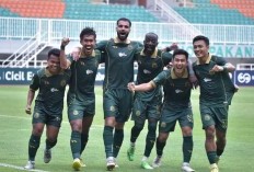 Link Live Streaming PSMS Medan vs Persikabo 1973 di Liga 2 Musim 2024/25 