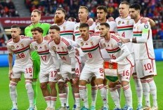 Euro 2024: Usai Dibantai Swiss, Pelatih Hungaria Menyerah Lawan Jerman