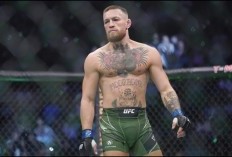 Conor McGregor Sindir Jake Paul Usai Tantang Dirinya Duel MMA