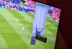 Euro 2024: Fans Hungaria Ngamuk Tak Terima Kalah dari Swiss, Nobar Dibikin Kacau