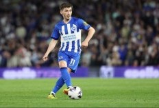 Napoli Cari Cara Untuk Datangkan Billy Gilmour dari Brighton