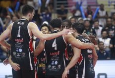 Jadwal Grand Final Proliga 2024 Sektor Putra Antara Jakarta LavAni vs Bhayangkara Presisi Hari Ini