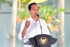 Jokowi Minta Timnas Indonesia Fokus Lawan Australia