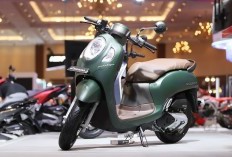 12 Oli Motor Scoopy Terbaik 2025, Mesin Awet dan Murah!