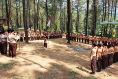 10 Perlengkapan Pramuka SD, SMP, SMA/SMK untuk Perempuan dan Laki-laki