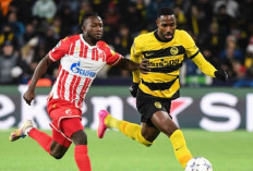 Susunan Pemain Young Boys vs Red Star di Liga Champions 2024/25