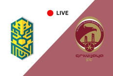Tempat Menonton Nusantara United vs Sriwijaya FC di Liga 2 2024/25