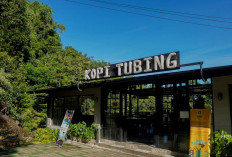 5 Tempat Ngopi di Bogor View Alam yang Lagi Hits & Instagramable 2025