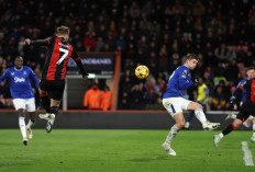 Hasil Bournemouth vs Everton di Liga Inggris - Gol Semata Wayang Tuan Rumah Berbuah 3 Poin