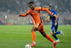 Hasil Pertandingan Bosnia vs Belanda di UEFA Nations League - Dominasi Semu Timnas Pusat Berujung 1-1