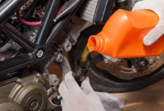 3 Harga Oli Motul Matic Terbaru 2025
