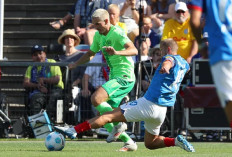 Prediksi Wolfsburg vs Holstein Kiel di Liga Jerman 2024/25 - 3 Poin Penting Kedua Tim!