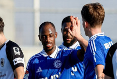 Prediksi Zurich vs Schalke 04 di Club Friendlies 2025 - The Royal Blues Tes Kemampuan
