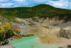20 Tempat Wisata di Lembang yang Lagi Hits 2025