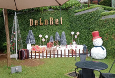 5 Cafe Outdoor di Jakarta Selatan yang Lagi Hits & Instagramable 2025