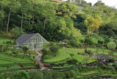 15 Tempat Makan di Puncak View Bagus & Instagramable 2025