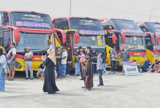 Mudik Gratis Nataru 2024, Naik Bus Hingga Kereta Api